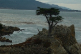 Pebble Beach